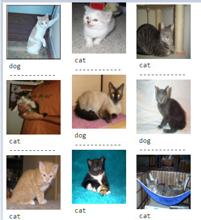 dog_cat.png